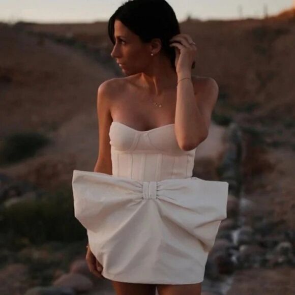 ZARA Voluminous Bow Skirt New - Picture 1 of 5